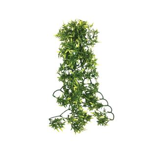 ko82530-abri-pour-reptiles-komodo-croton-plant-vert