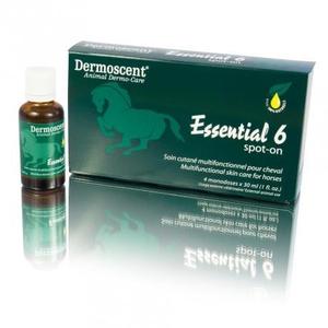 4393893-soin-pour-chien-ldca-dermoscent-essential-6-x4-vert-30-ml
