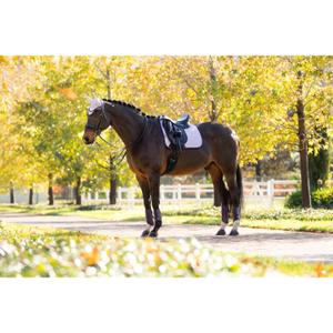 product/l/e/lemieux_it07094_011.jpg