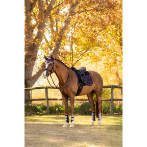 product/l/e/lemieux_it07096_004.jpg
