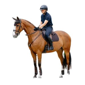 it07593005-tapis-de-cso-lemieux-close-contact-marron
