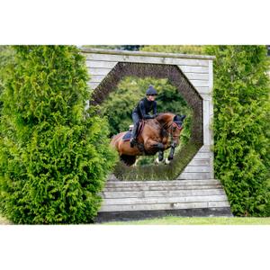 product/l/e/lemieux_it08144_009.jpg