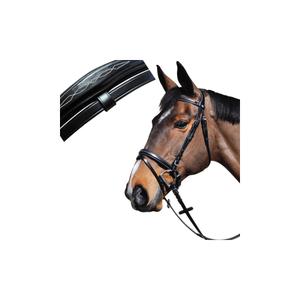 121120-noir-bridons-equitation-boston-combine-lexington-noir