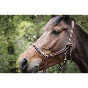 510310317-licol-en-cuir-pour-cheval-penelope-point-sellier-noisette-cheval