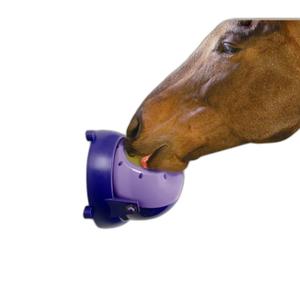 380025035-mangeoire-cheval-likit-tongue-twister-lilas-tu