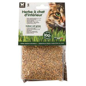 3003937-herbe-a-chat-a-semer-martin-sellier-beige-125-g