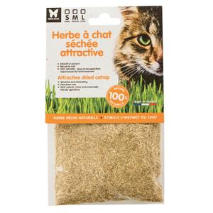 3003941-herbe-a-chat-martin-sellier-beige-30-g