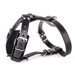 3005690-harnais-pour-chien-en-cuir-feutre-martin-sellier-noir