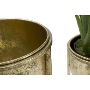 product/m/a/mauro-ferretti_1422770000_golden_2.jpg