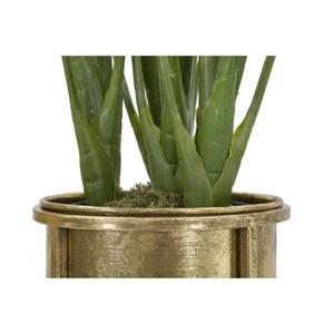 product/m/a/mauro-ferretti_1422770000_golden_3.jpg