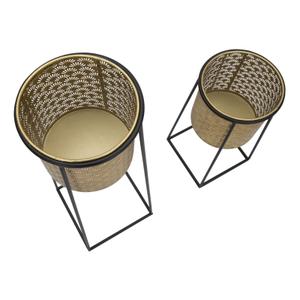 product/m/a/mauro-ferretti_1422940000_black-gold_4.jpg