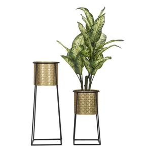 product/m/a/mauro-ferretti_1422940000_black-gold_5.jpg