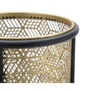 product/m/a/mauro-ferretti_1422950000_black-gold_3.jpg