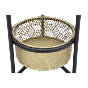 product/m/a/mauro-ferretti_1422950000_black-gold_4.jpg