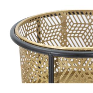 product/m/a/mauro-ferretti_1423920000_gold-black_3.jpg