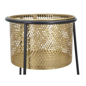 product/m/a/mauro-ferretti_1423920000_gold-black_4.jpg