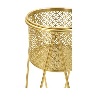 product/m/a/mauro-ferretti_1427880000_gold_3.jpg