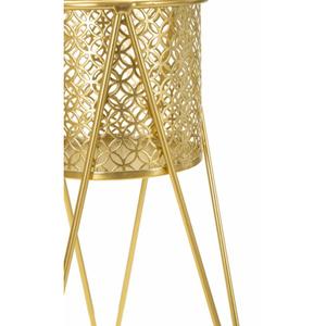 product/m/a/mauro-ferretti_1427880000_gold_4.jpg