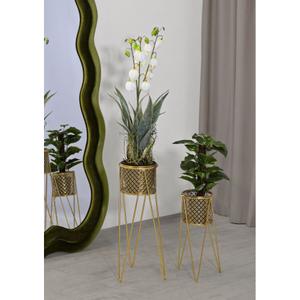 product/m/a/mauro-ferretti_1427880000_gold_5.jpg