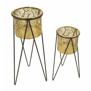 product/m/a/mauro-ferretti_1427890000_black-gold_2.jpg