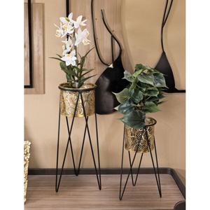 product/m/a/mauro-ferretti_1427890000_black-gold_5.jpg