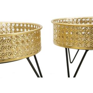 product/m/a/mauro-ferretti_1427980000_black-gold_3.jpg