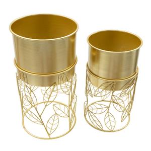 product/m/a/mauro-ferretti_1428490000_gold_2.jpg