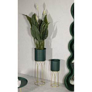 product/m/a/mauro-ferretti_1428580000_green-gold_5.jpg