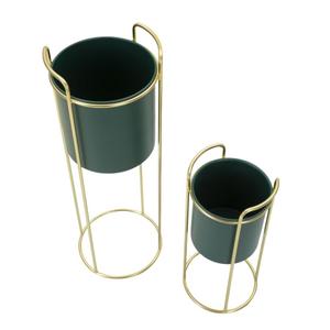 product/m/a/mauro-ferretti_1428590000_green-gold_2.jpg