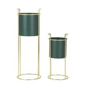 product/m/a/mauro-ferretti_1428590000_green-gold_5.jpg