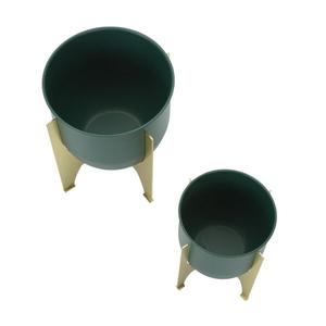 product/m/a/mauro-ferretti_1428600000_green-gold_3.jpg