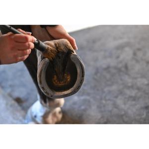product/n/a/natural-innov_naturalcoat-10l-incolore_8-nw032624.jpg