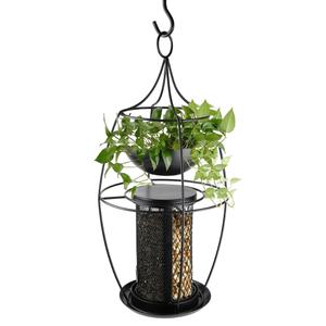product/n/o/nobby-pet_25623_1.jpg