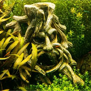 product/n/o/nobby-pet_28680_1.jpg