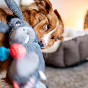 product/n/o/nobby-pet_50518_3.jpg