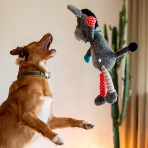 product/n/o/nobby-pet_50518_4.jpg