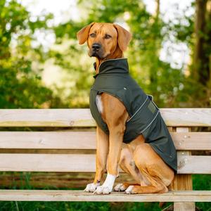 51472-manteau-pour-chien-nobby-pet-sela-vert-60-cm