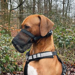 product/n/o/nobby-pet_53023_noir_2.jpg