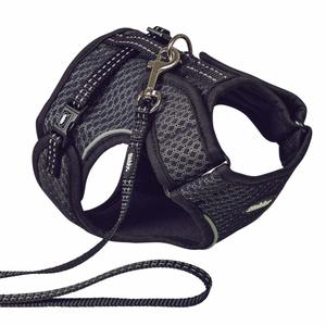 53056-05-harnais-et-laisse-pour-chat-nobby-pet-flap-noir-tu
