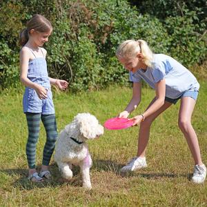 product/n/o/nobby-pet_60372_2.jpg