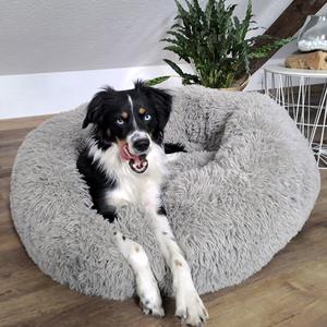 product/n/o/nobby-pet_61817_1.jpg