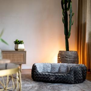 product/n/o/nobby-pet_71553_1.jpg