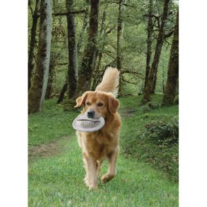 product/n/o/nobby-pet_79319_2.jpg