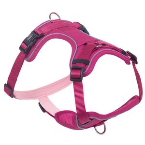 80407-64-harnais-confort-pour-chien-nobby-pet-mailo-purple-s-m