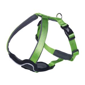 80732-39-harnais-confort-pour-chien-nobby-pet-classic-preno-vert-grey-m