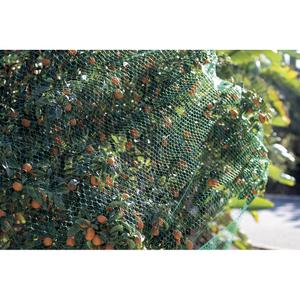 product/n/o/nortene_120010_green_1.jpg