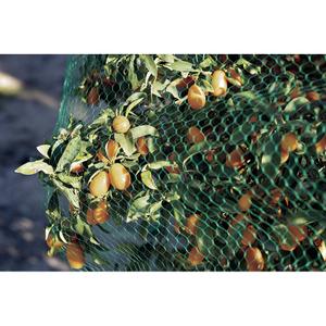 product/n/o/nortene_120010_green_2.jpg