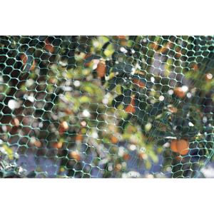 product/n/o/nortene_120010_green_6.jpg