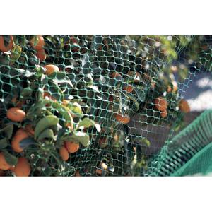 product/n/o/nortene_120010_green_7.jpg