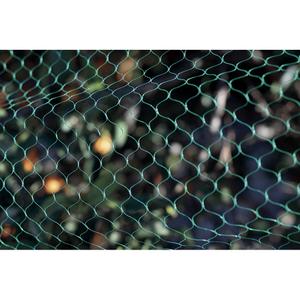 product/n/o/nortene_120010_green_8.jpg